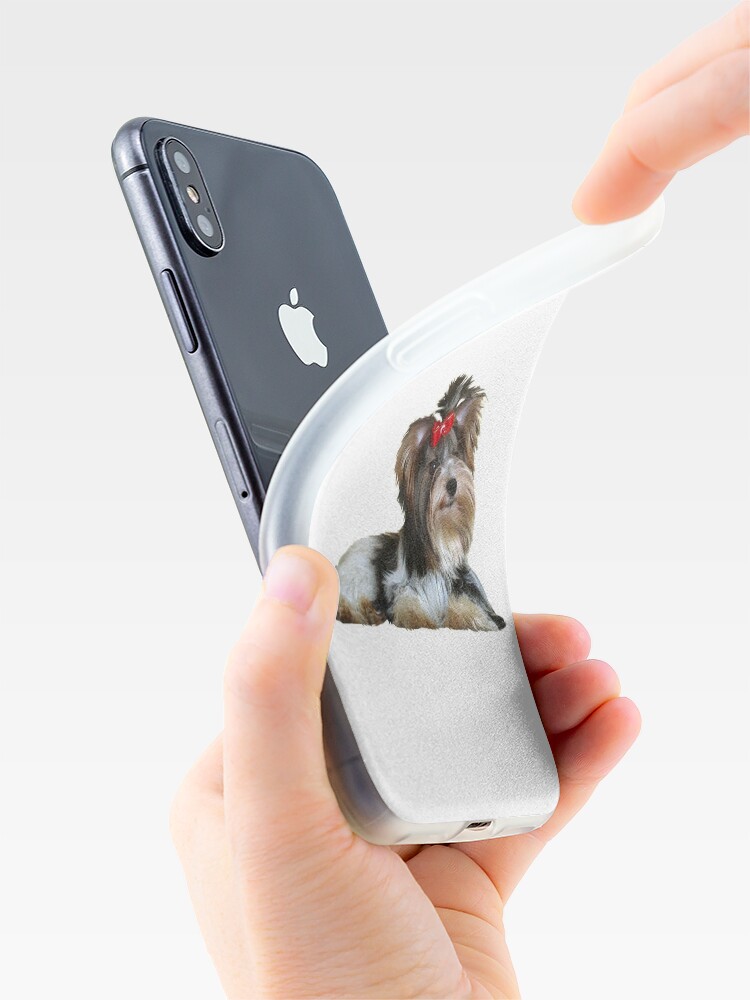 Alternate view of Yorkshire Terrier (Biewer - lying down) iPhone Case & Cover