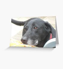 Puppy dog eyes Greeting Card