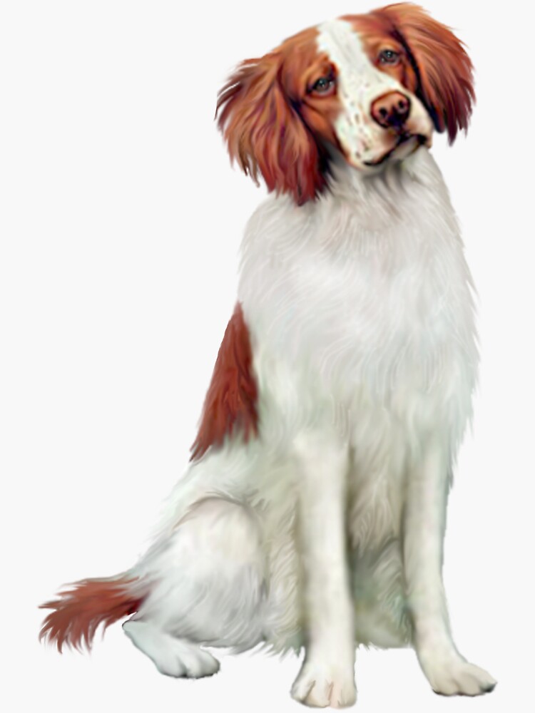 Brittany Spaniel by JeanBFitzgerald