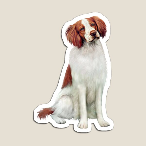 Brittany Spaniel Gifts & Merchandise Redbubble