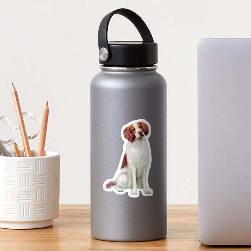 Brittany Spaniel Sticker
