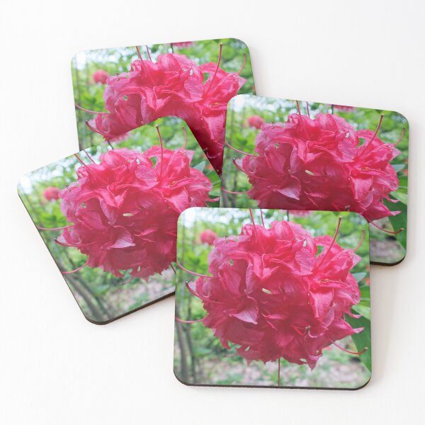 Item preview, Red Azalea Flowers designed and sold by pinkal.