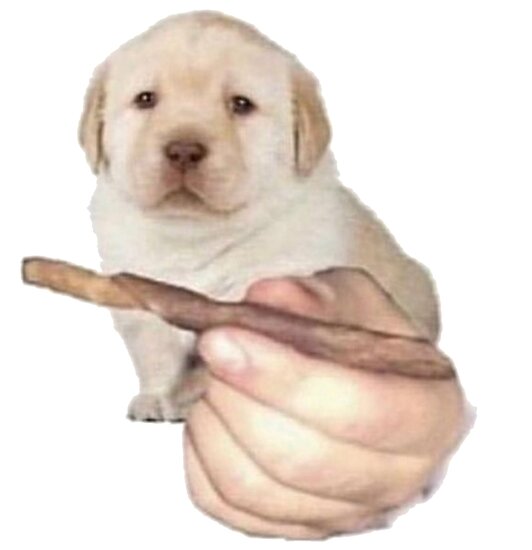 "Pass The Boof Dog Meme" Poster by BoomerUSA | Redbubble