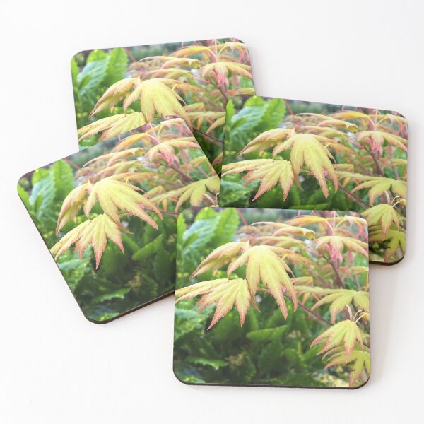 Item preview, Yellow Maple Leaves designed and sold by pinkal.
