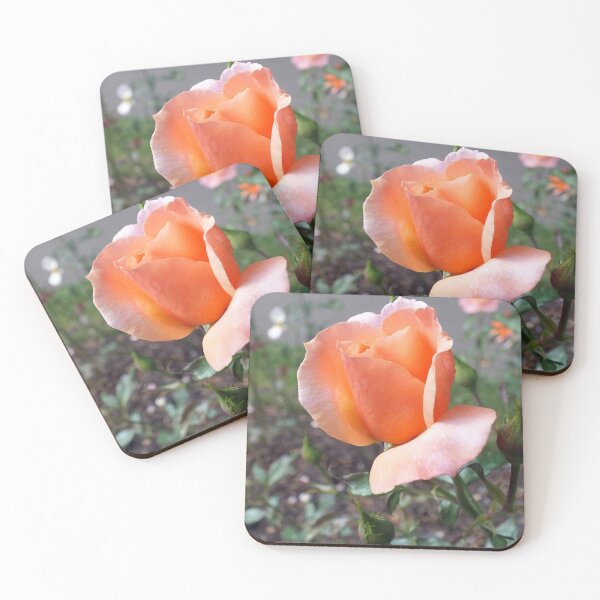 Item preview, Peach Rosebud designed and sold by pinkal.