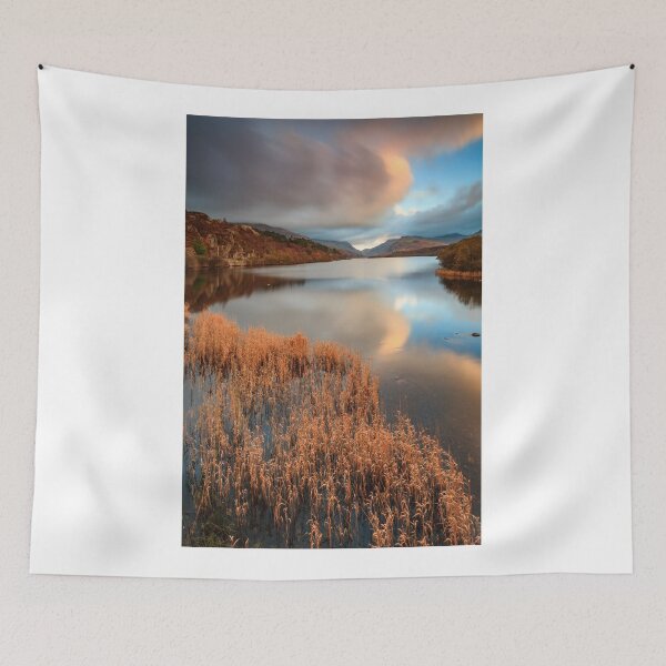 Item preview, Reeds at Sunset (Llyn Padurn) designed and sold by bitm2007.