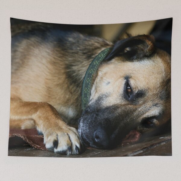 Item preview, Dog - road dog designed and sold by laura-S.