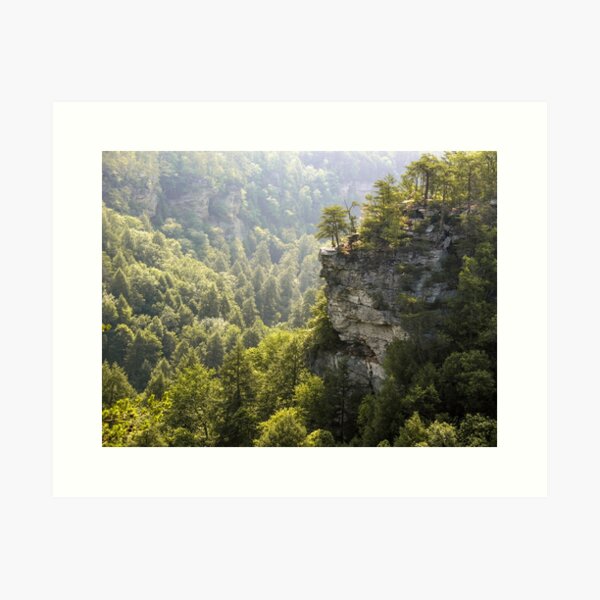 Item preview, The Cliffs at Fall Creek Falls designed and sold by LarryB007.