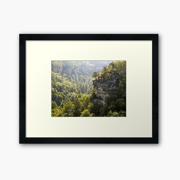 Item preview, The Cliffs at Fall Creek Falls designed and sold by LarryB007.