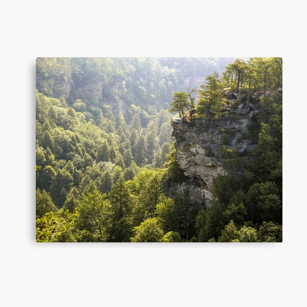 Item preview, The Cliffs at Fall Creek Falls designed and sold by LarryB007.