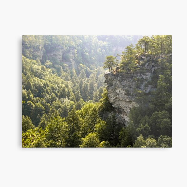 The Cliffs at Fall Creek Falls Metal Print