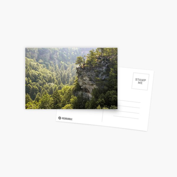 Item preview, The Cliffs at Fall Creek Falls designed and sold by LarryB007.
