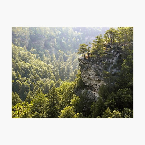 Item preview, The Cliffs at Fall Creek Falls designed and sold by LarryB007.