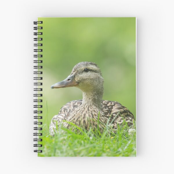 Item preview, Sitting Duck designed and sold by EugeJ.