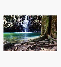 Hawaiian Falls, Maui Photographic Print