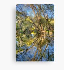 Mirror Mirror Canvas Print