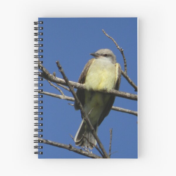 Artikelvorschau, Westlicher Kingbird entworfen und verkauft von Navigator.
