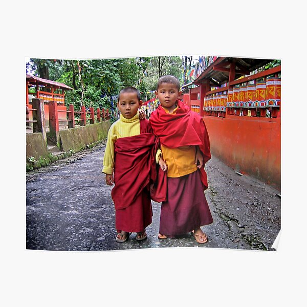 young monks. sikkim, india Poster
