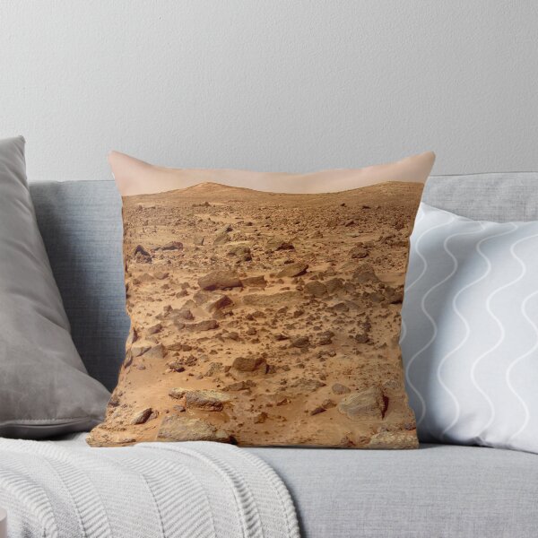 Item preview, Panorama of the Pathfinder Landing Site designed and sold by mapanett.