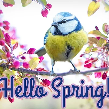 Artwork thumbnail, Hello Spring by trs35