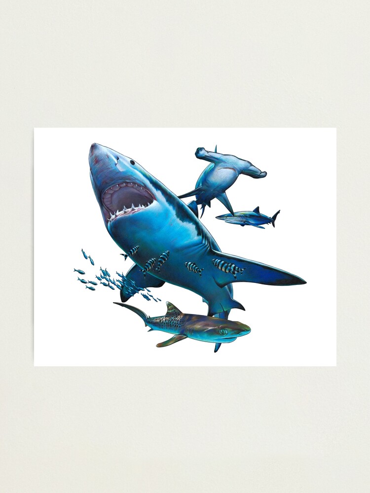 Shark Fish Photo Collage Canvas, Shark Fishing Gifts, Fishing Gift