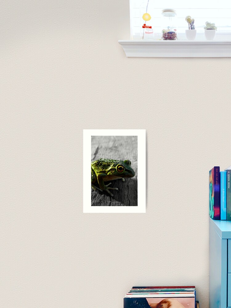 Thumbnail 2 von 3, Kunstdruck, Froggle Rocks designt und verkauft von Gozza.