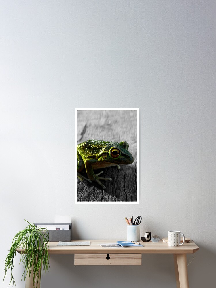 Thumbnail 2 of 3, Poster, Froggle Rocks designed and sold by Gozza.