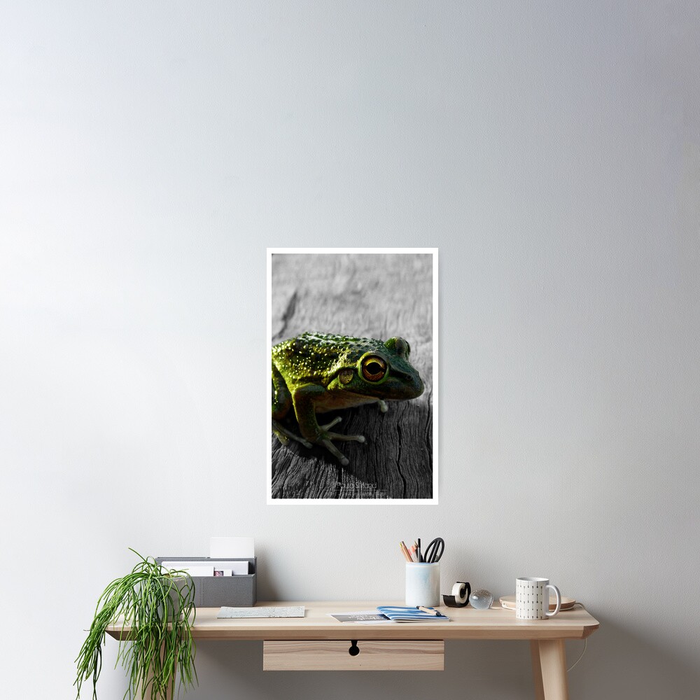 Item preview, Poster designed and sold by Gozza.