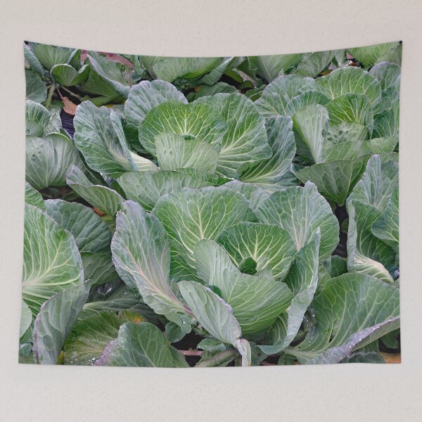 Item preview, Cabbage designed and sold by Strawflower Oasis.