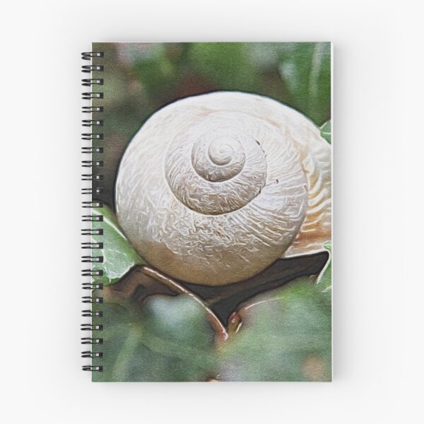 Item preview, Pearly White Snail Shell | Oil Canvas Painting designed and sold by Christopher Taylor.