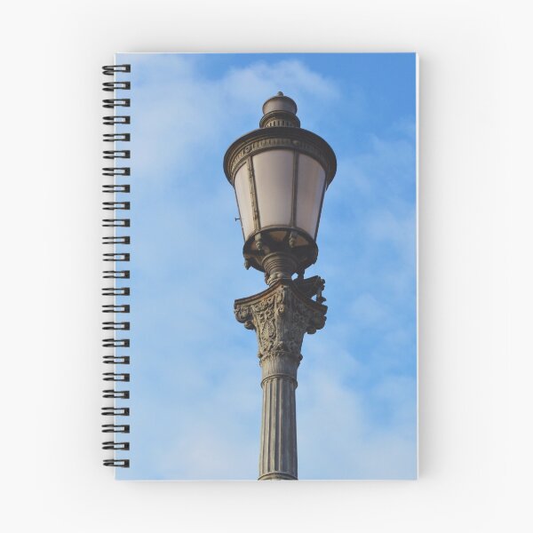 Item preview, Lamp Post designed and sold by cailinB.
