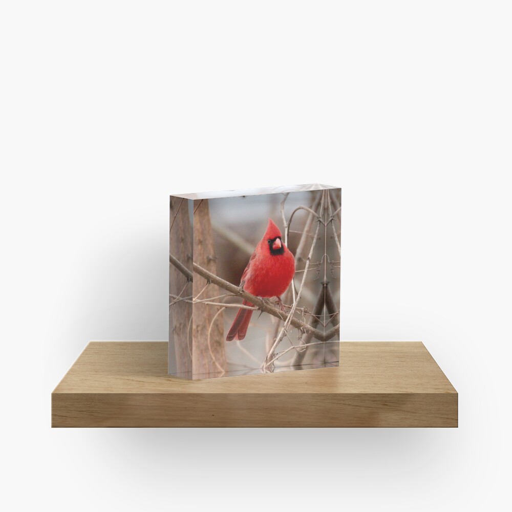 Red Cardinal Acrylic Block