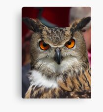 The Eurasian Eagle-owl Canvas Print