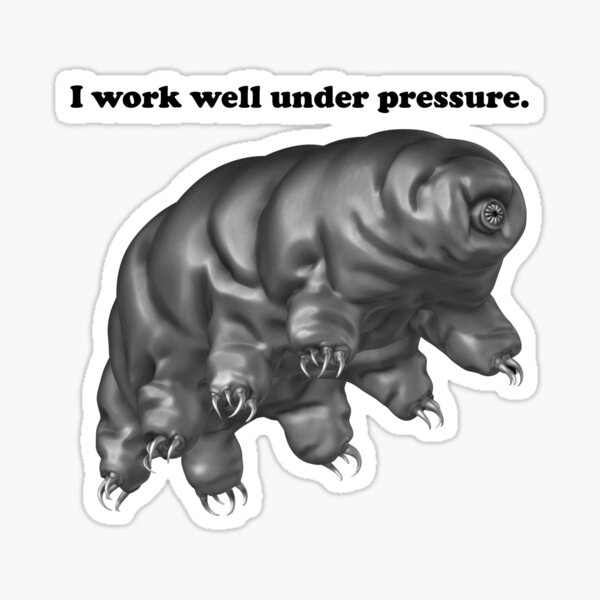 Tardigrade Pun Sticker