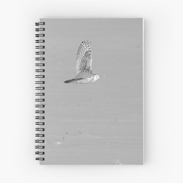 Item preview, Black and White Snowy Owl 2019-1 designed and sold by Thomasyoung.