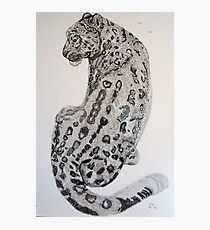 The Snow Leopard Photographic Print