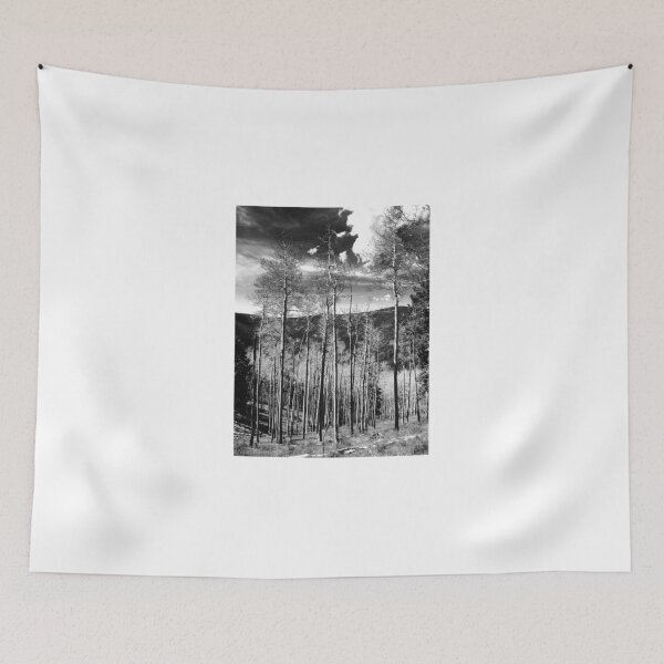 Item preview, Aspen Haven designed and sold by Ryan Moore.