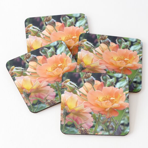 Item preview, Peach Coloured Roses  designed and sold by pinkal.