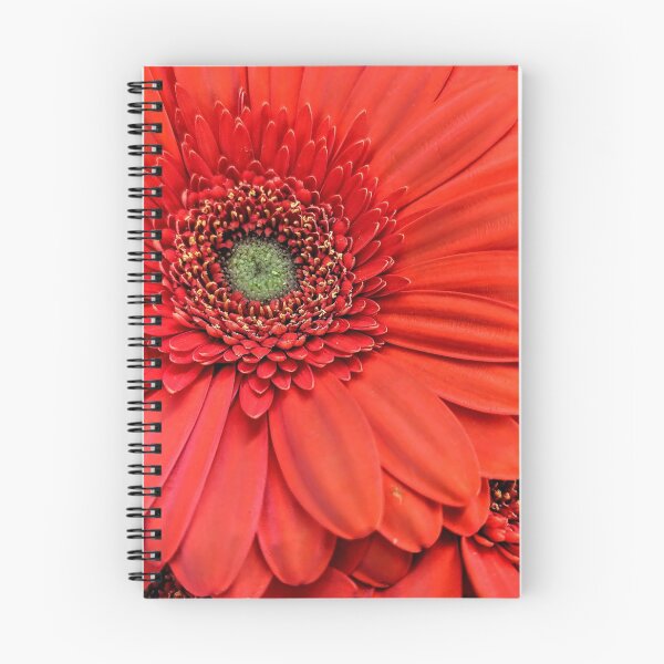 Item preview, Orange Daisies designed and sold by AmberELamoreaux.
