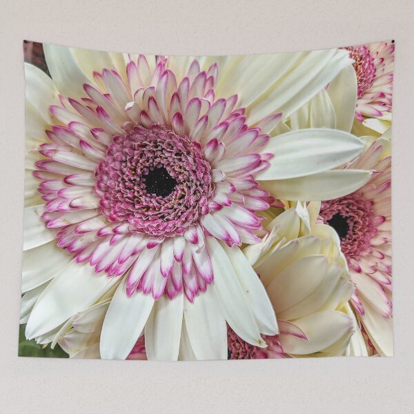 Item preview, Purple Tipped Daisies designed and sold by AmberELamoreaux.