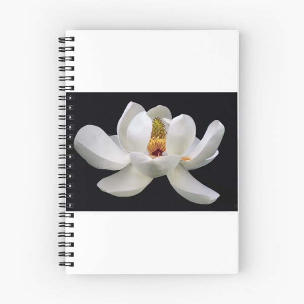 Item preview, Full Bloom designed and sold by Peter Stratton.