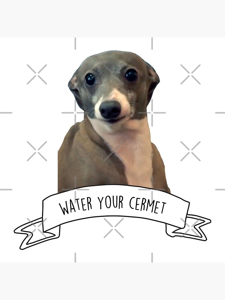 Kermit Water Your Cermet Art Board Print By Michelemoira Redbubble