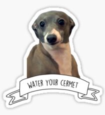 Kermit - gieße dein Cermet Sticker