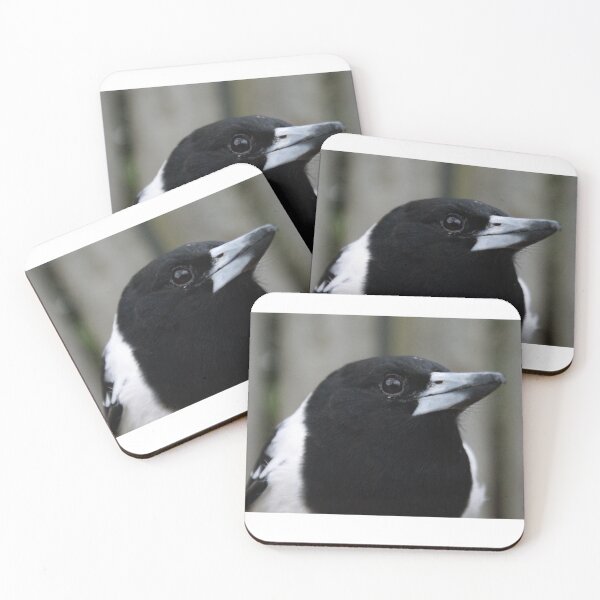 Item preview, Butcherbird Portrait designed and sold by Dragonsfield.