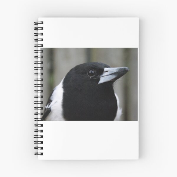Item preview, Butcherbird Portrait designed and sold by Dragonsfield.