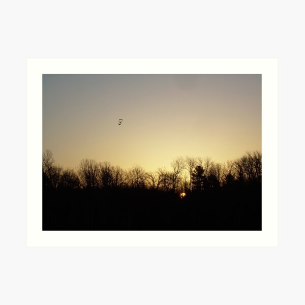 Geese at Sunrise Art Print