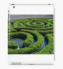 Concentric iPad Case/Skin