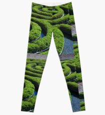 Concentric Leggings