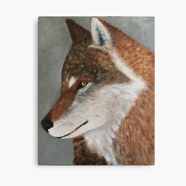 Sly Fox Canvas Print