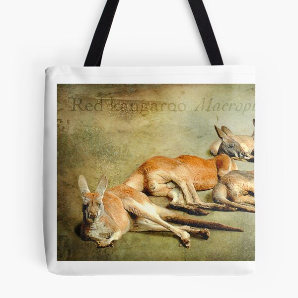 Item preview, mob sunning - red kangaroos designed and sold by Trish Hart.